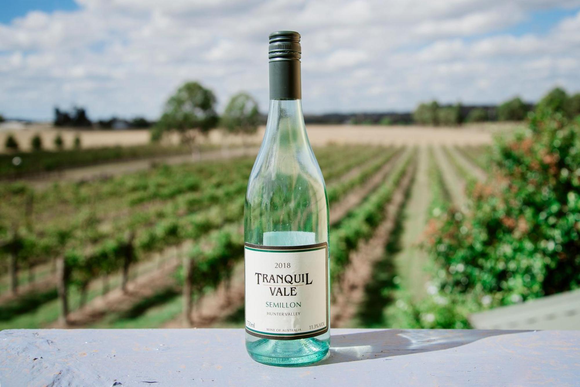 Hotel Tranquil Vale Vineyard Luskintyre Exterior foto