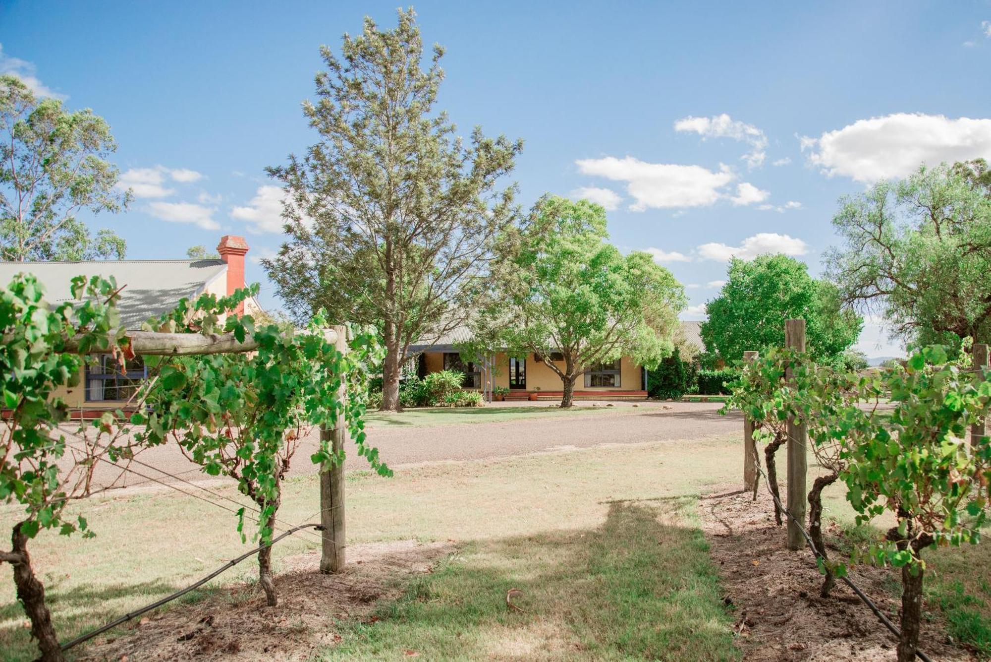 Hotel Tranquil Vale Vineyard Luskintyre Exterior foto