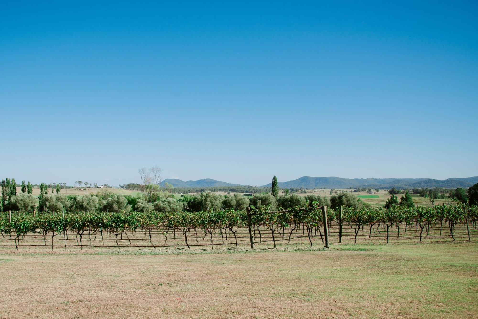 Hotel Tranquil Vale Vineyard Luskintyre Exterior foto