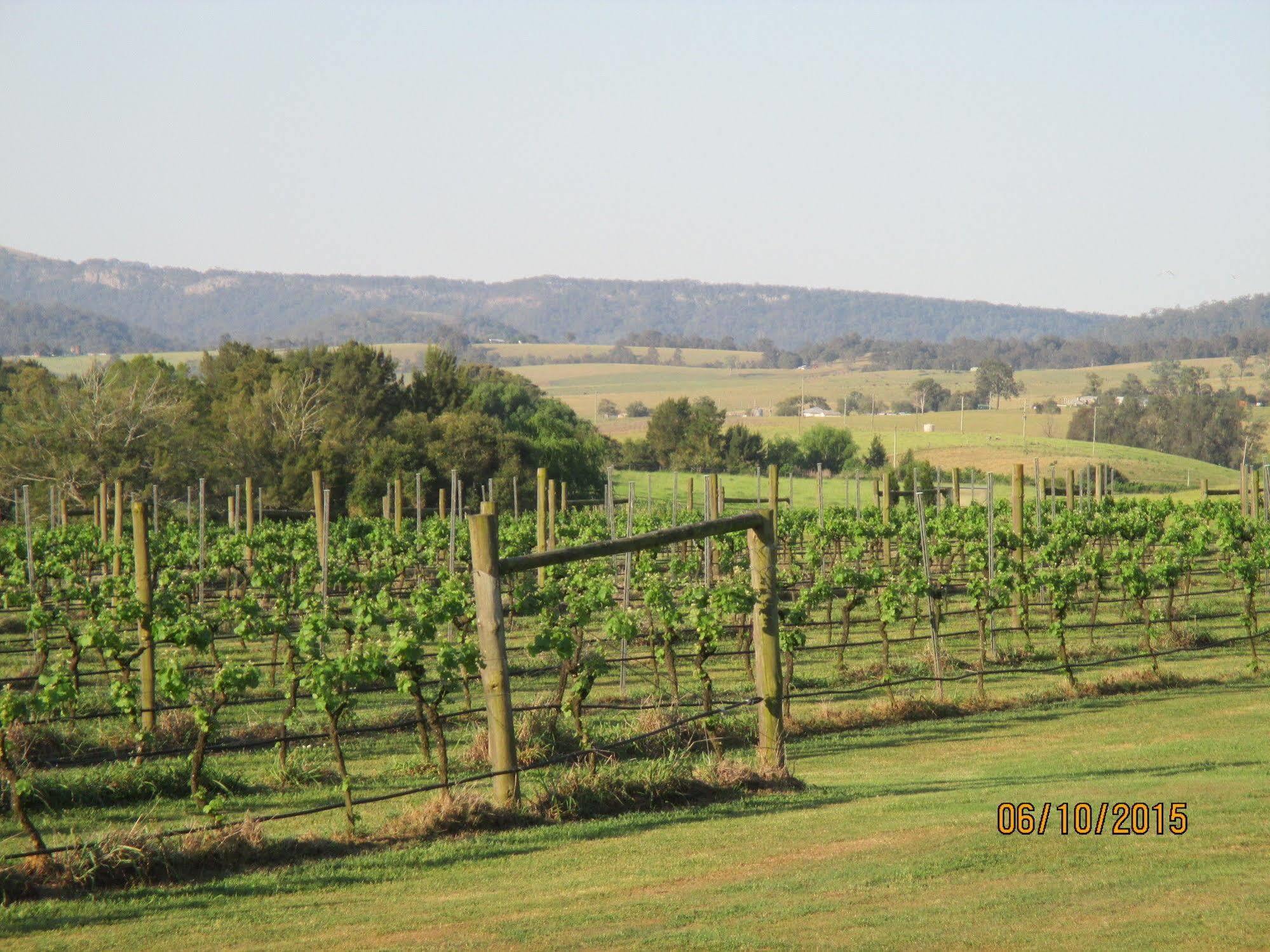 Hotel Tranquil Vale Vineyard Luskintyre Exterior foto