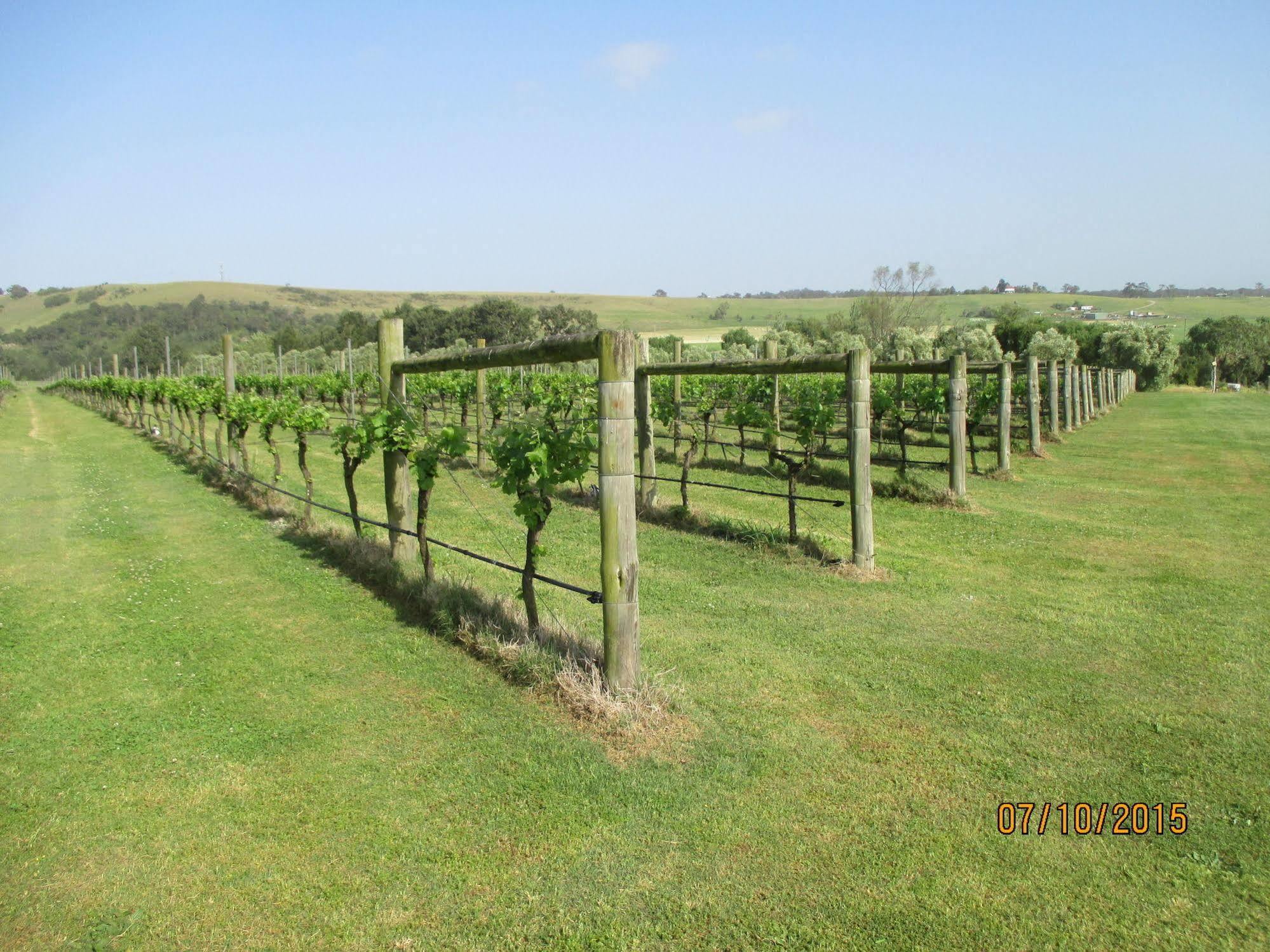 Hotel Tranquil Vale Vineyard Luskintyre Exterior foto